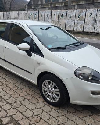 Fiat Punto Evo 1.3 Mjt 75 CV NEOPATENTATI