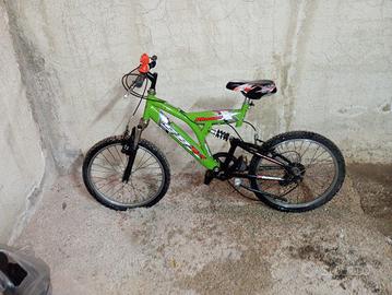 bici Phoenix per bambini 