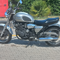 Triumph legend