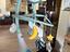 Immagine 2