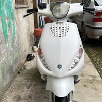 Zip 50 4 t senza libretto