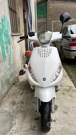 Zip 50 4 t senza libretto