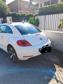 Volkswagen modello new Beetle