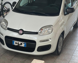 Fiat panda 2017