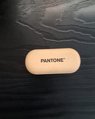 auricolari pantone pt-tws001n1