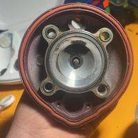 top viola 75cc am6