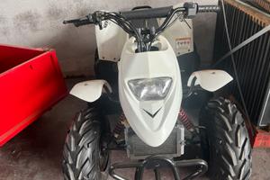 QUAD APEX PRO SHARK
