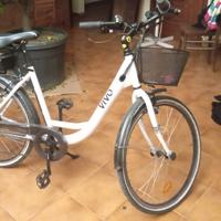 bicicletta elettrica a pedalata assistita