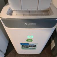 Deumidificatore Olimpia Splendid S1 20 P