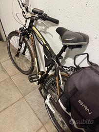 bicicletta Bottecchia verde natura trasformata