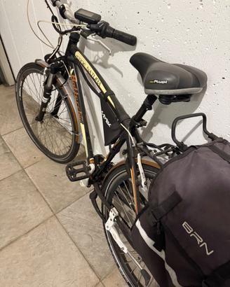 bicicletta Bottecchia verde natura trasformata