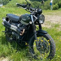 Triumph Street scrambler 900 