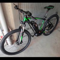 Bici pedalata assistita