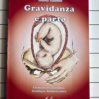 Libro Gravidanza e parto