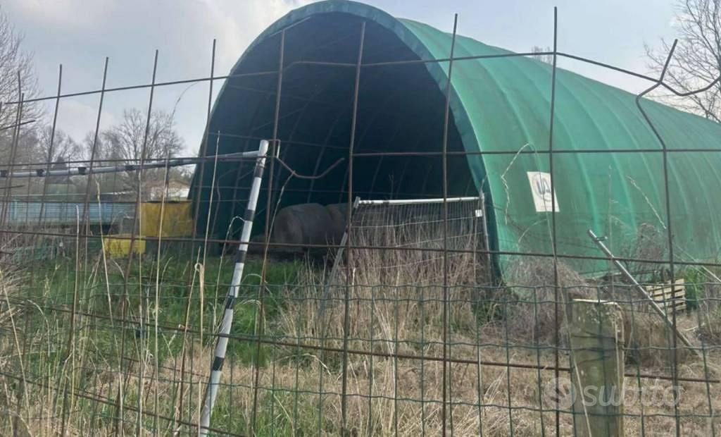 Immobile in asta di 10661 m² a San Possidonio - Vista 4