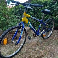Bicicletta mtb trubbiani