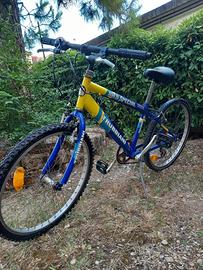 Bicicletta mtb trubbiani
