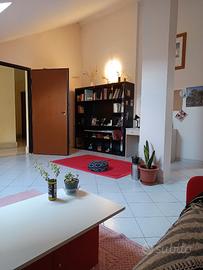 Privato affitta giovanile app. arredato 60 mq