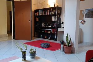 Privato affitta giovanile app. arredato 60 mq