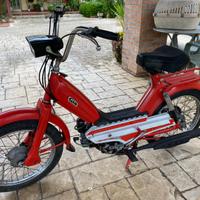ATALA GIO' RIZZATO 50 CC