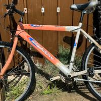 Mountain bike Shadow 1000
