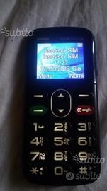 Brondi amico gentile