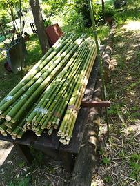 30 canne bambù 2,2 mt. diam. 3/4 e altre misure
