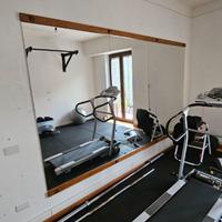 Vetri palestra