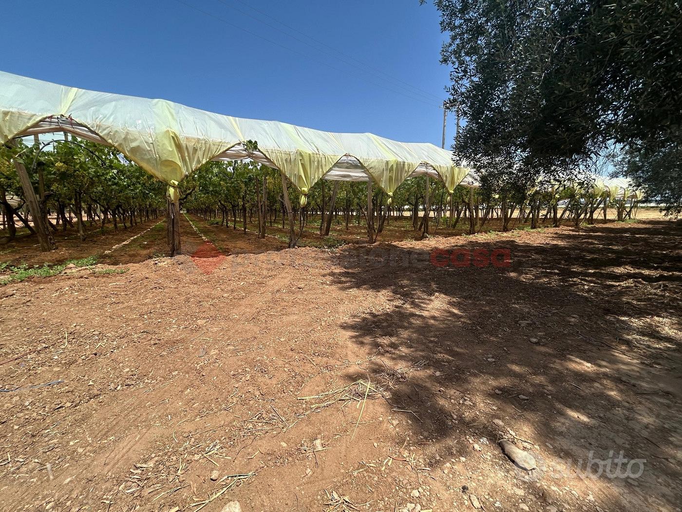 Terreno Agricolo Grottaglie [LM2586VCG] - Vista 2