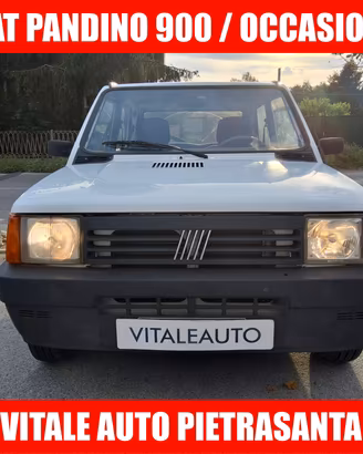 Fiat Panda 900 i.e. cat Young