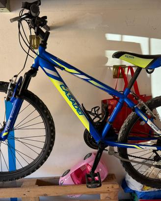 Bici da bambino o bambina