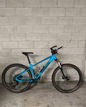 Bici Mountain Bike