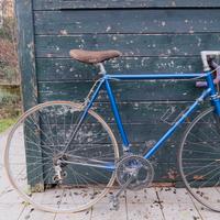 Bicicletta Vintage