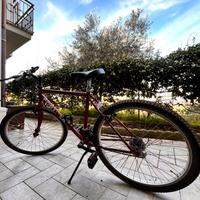 Myb 26