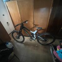 Bici Downhill