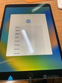 Ipad Pro 10.5