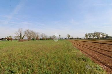 TER. AGRICOLO A GHEDI