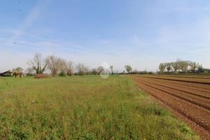 TER. RESIDENZIALE A GHEDI