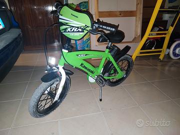 Bicicletta n14