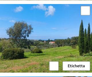 Terreno in collina zona Collinaia