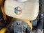 Immagine 5