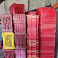  stock cassette orto frutta raccolta uva e olive