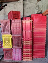  stock cassette orto frutta raccolta uva e olive