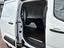 Immagine 7