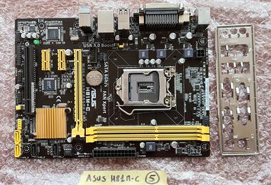Scheda madre 1150 Asus H81M-C