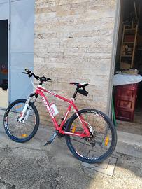 bici montabike