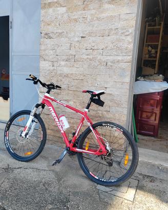 bici montabike