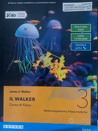 Il walker Corso di fisica 3