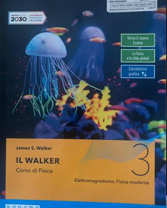 Il walker Corso di fisica 3