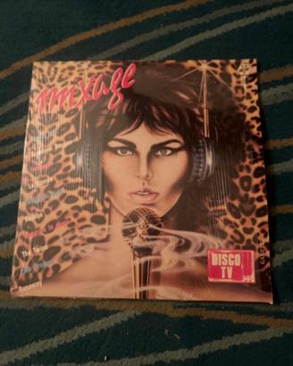 Disco in vinile